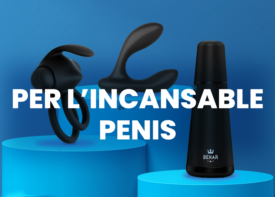 Per l'incomprès PENIS